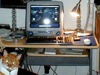 Bonnie's iMac