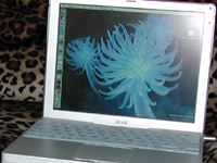 Lisa's iBook