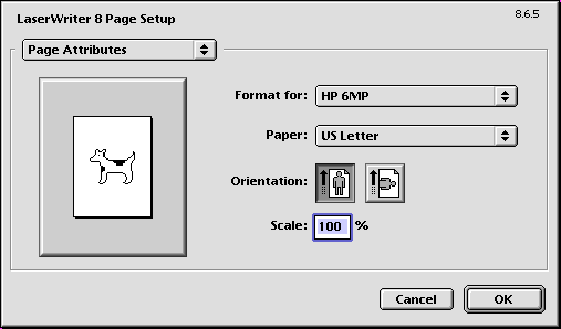 LW Pg Setup Window