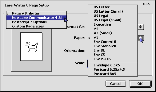 LW Pg Setup Options