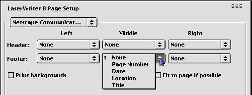 LW Pg Setup Netscape Options