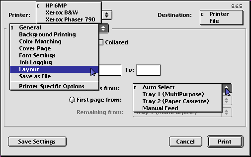 LW Print Window Options