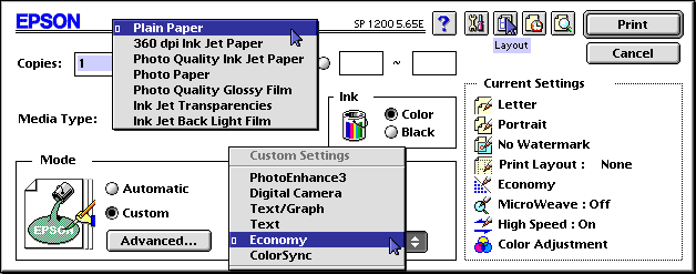 Epson Print Window Options