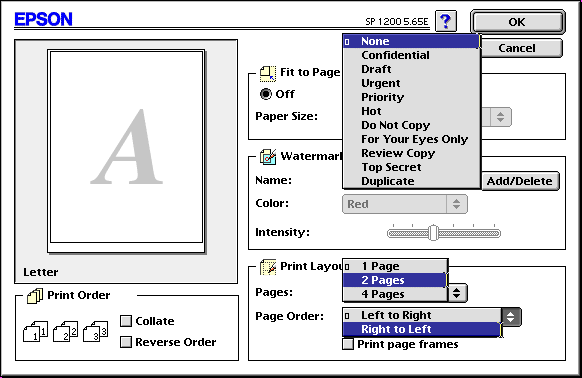 Epson Print Window Layout Options