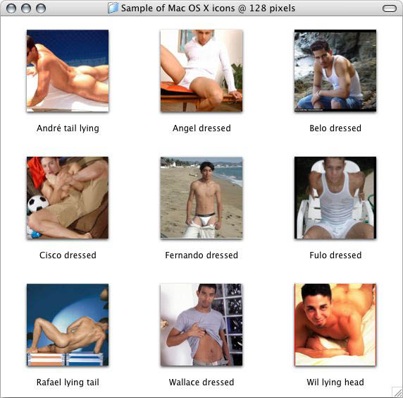 sample of Mac OS X icons